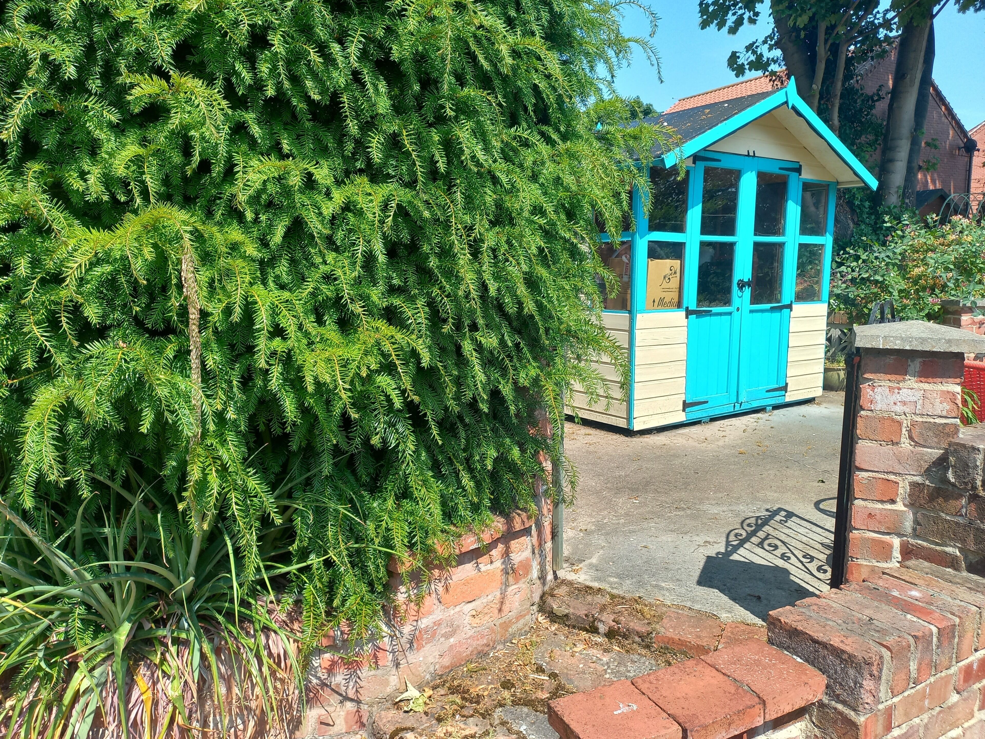 A small, blue and cream-colored building with a door and windows, surrounded by lush greenery.