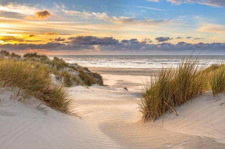 Beach. Rijks Lodge Wassenaar