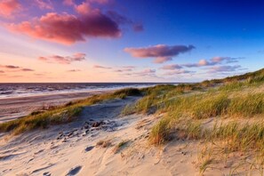 Beach - Rijks Lodge Wassenaar (Wassenaar)