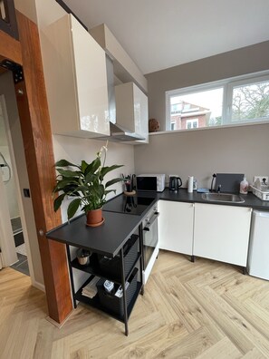 Fridge, microwave, oven, stovetop - Rijks Lodge Wassenaar (Wassenaar)