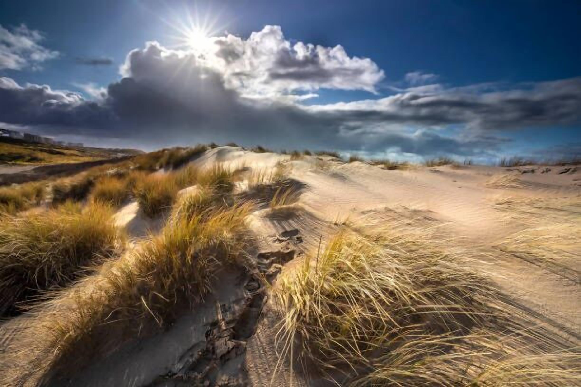 Een zandlandschap met duinen en schaarse begroeiing.