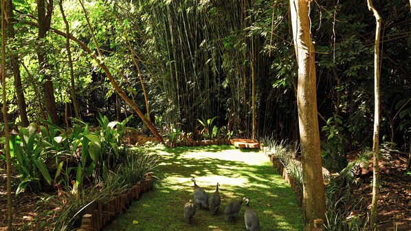 Exterior - Hotel Fazenda Vale Amanhecer  (Igarape)