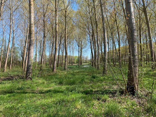 Navarinne" Landes farm with swimming pool and playground