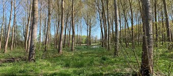 Navarinne" Landes farm with swimming pool and playground