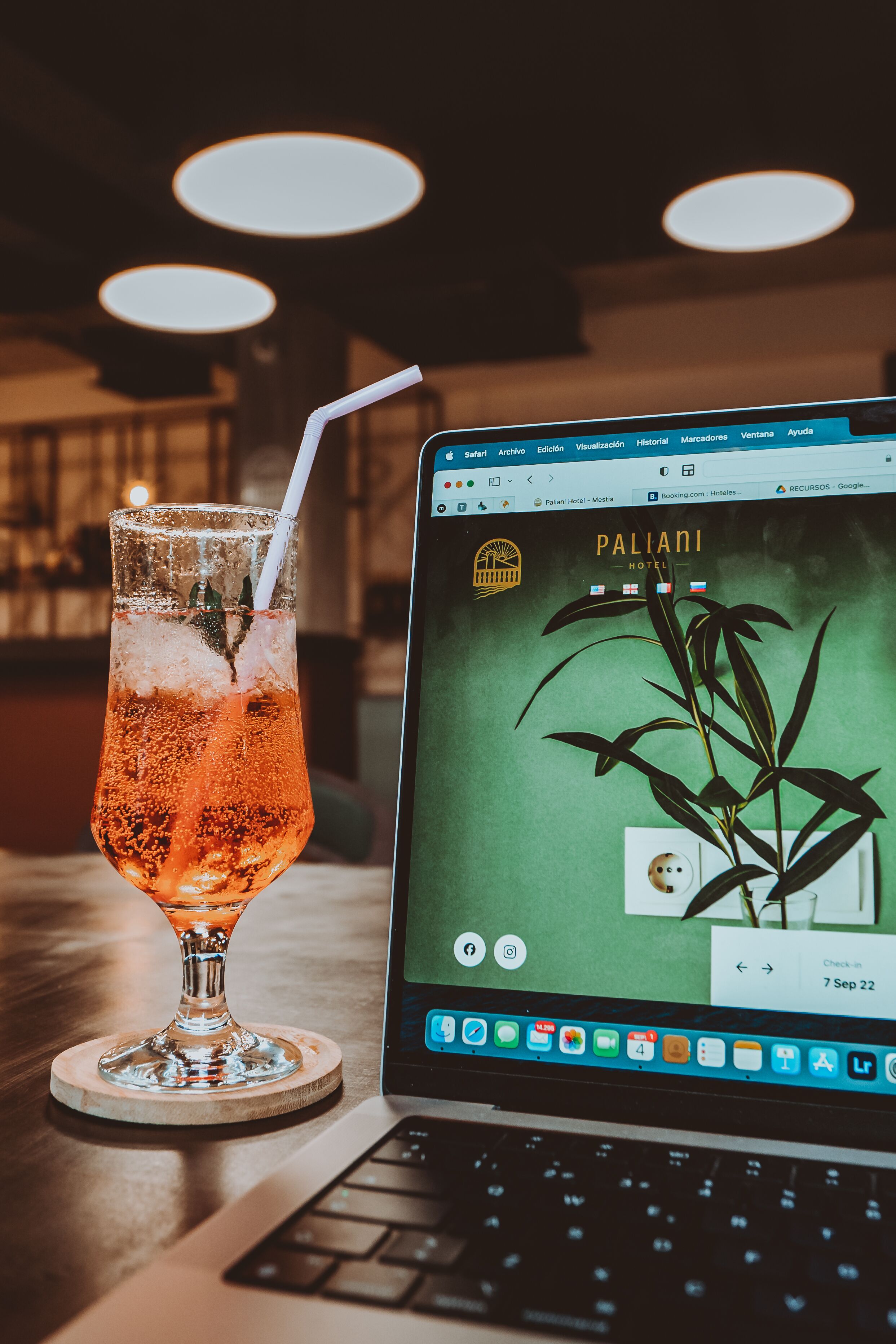 A laptop displaying a hotel website with a plant on the screen.