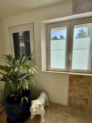 Interior - Double-gîte with jacuzzi, swimming pool and balneotherapy. (Mollans-sur-Ouvèze)