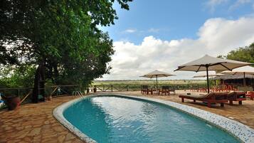 Outdoor pool, pool loungers