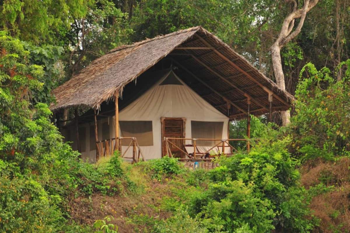 Une cabane rustique à toit de chaume, entourée d’une végétation luxuriante.