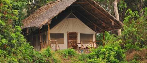 Standardtelt | Individuelt design, individuel indretning, gratis Wi-Fi, sengetøj