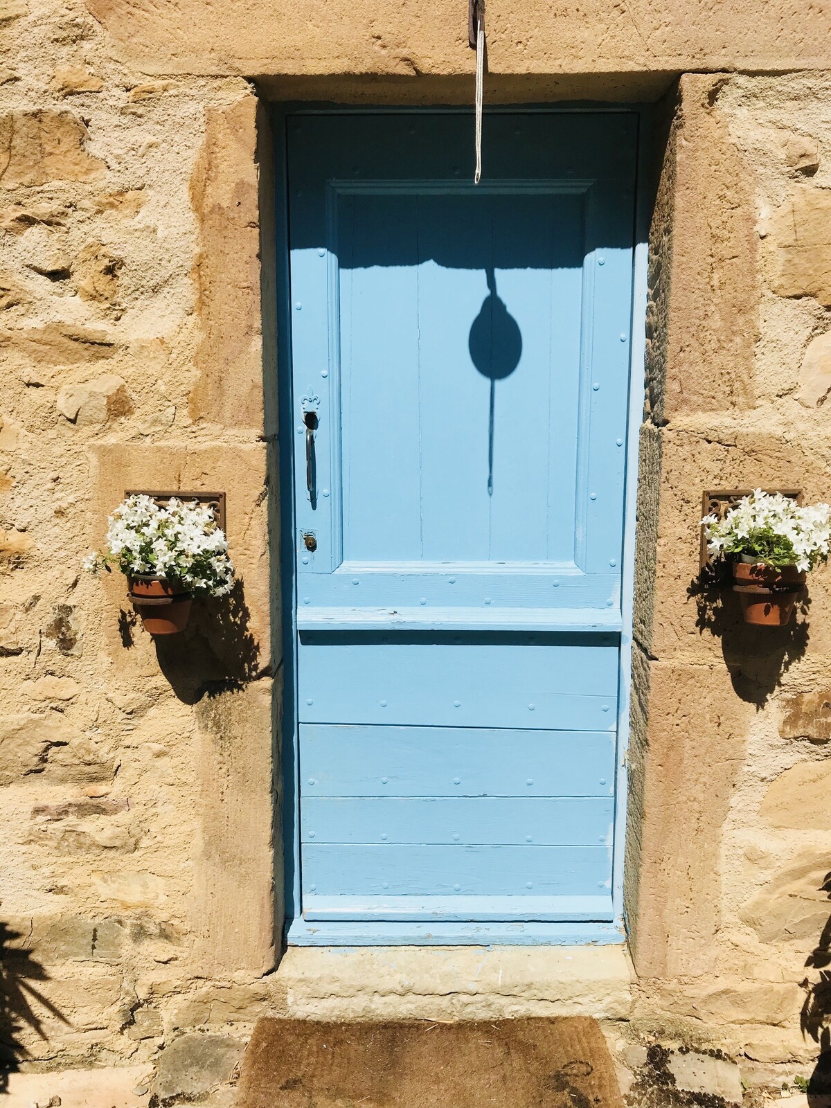 オーナーのプロフィール画像