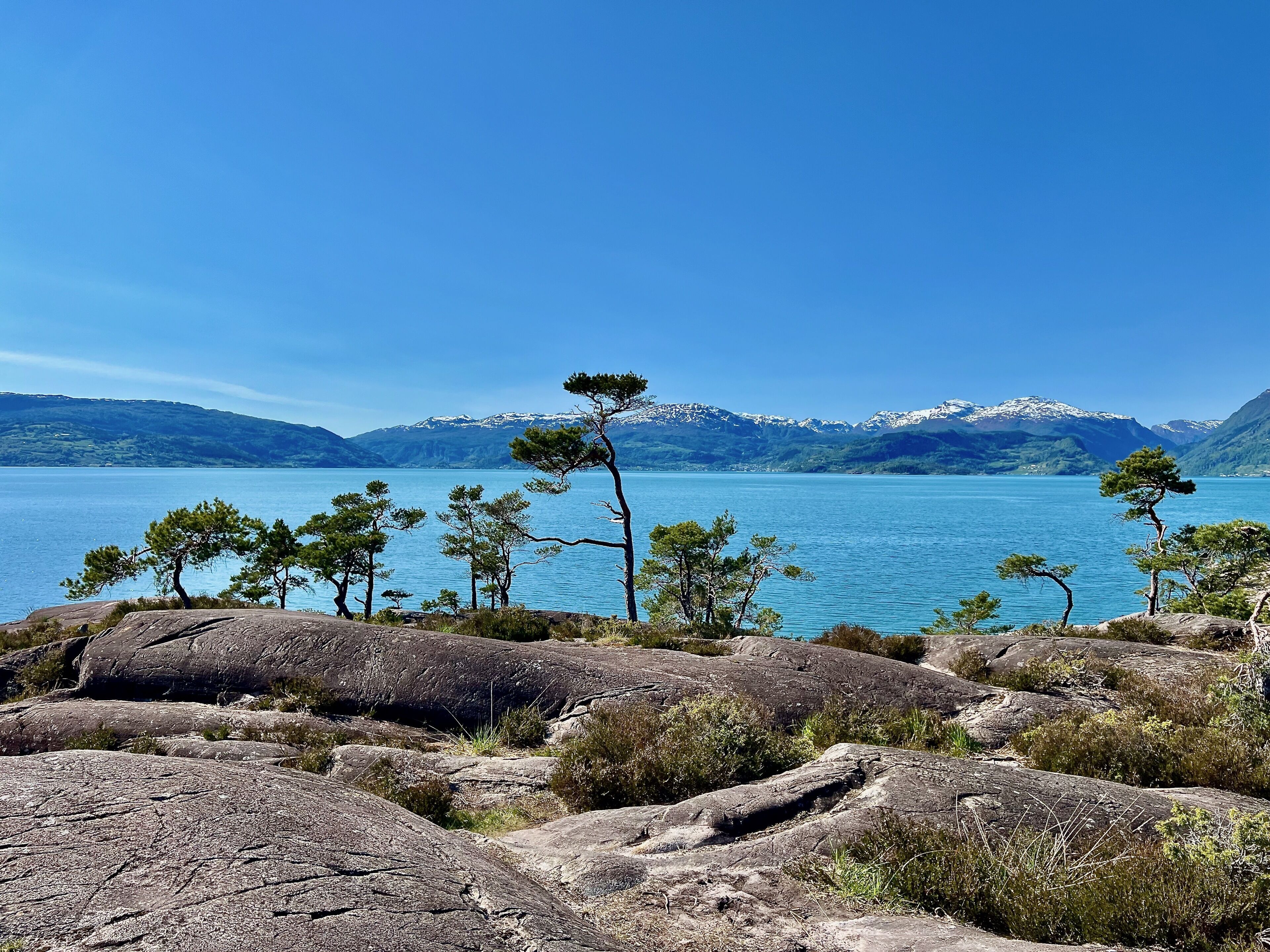 Eine felsige Landschaft mit Kiefern und einem See.