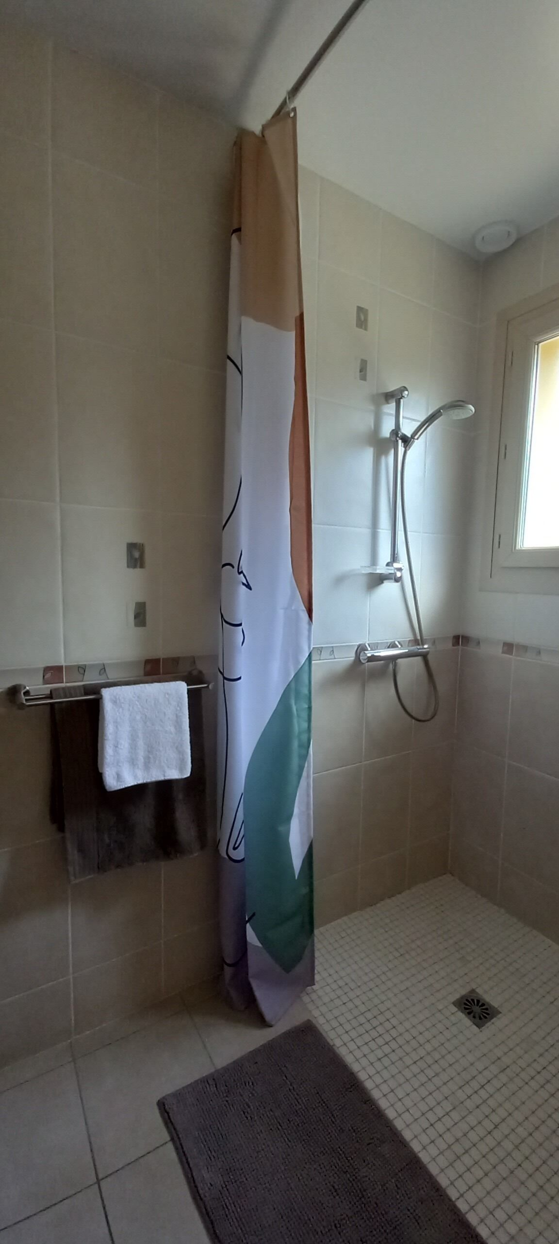 Dusche, Haartrockner, Handtücher