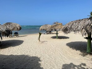 Beach - The Ayneka Suite/ Ocean view/ 5min from the beach 🏝️ (Puerto Plata)