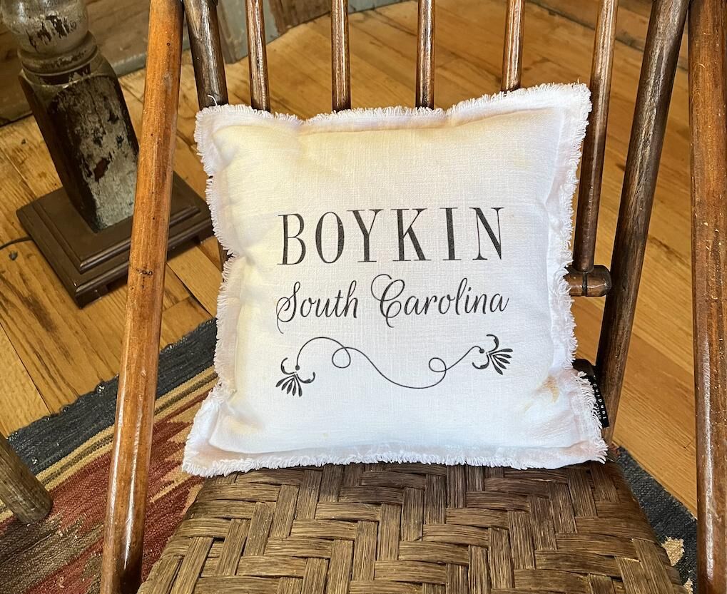 Dogs Love The Tack Room Private Cottage in Camden SC Horse Country