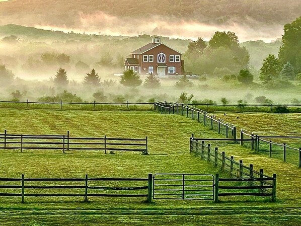 Enceinte de l’hébergement