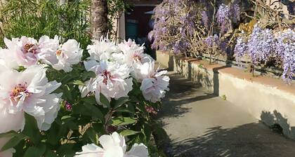 Ancient villa of Grand Duke Leopold II đđŠźđ°