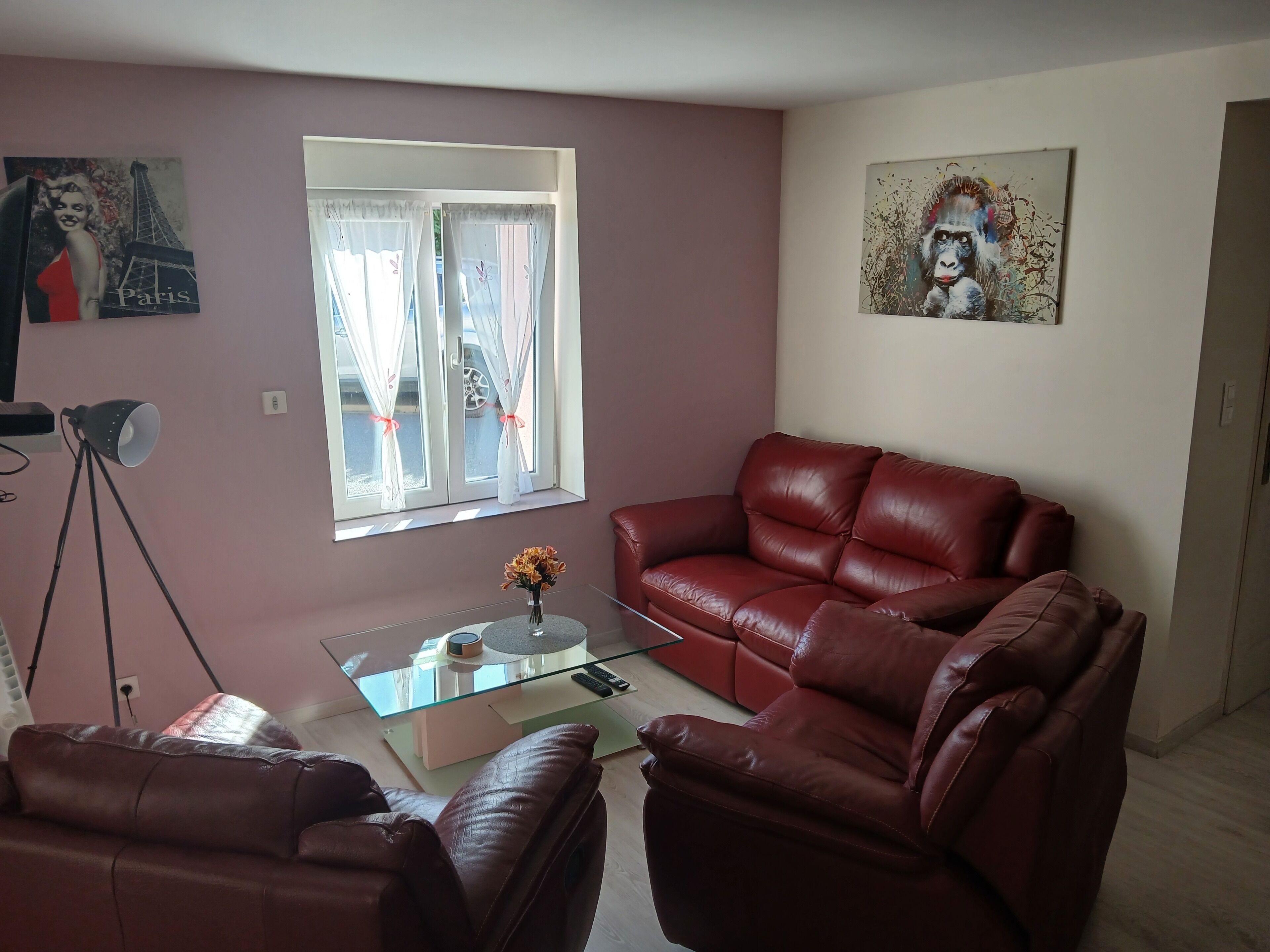 Televisión y libros 