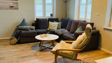 Smart TV, fireplace, books