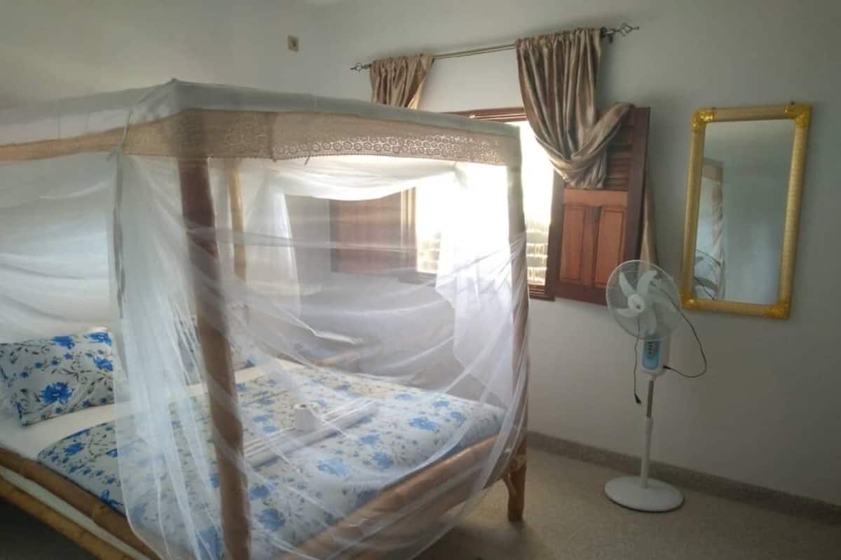 Un dormitorio con una cama cubierta por una mosquitera, un ventilador junto a la cama y un espejo en la pared.