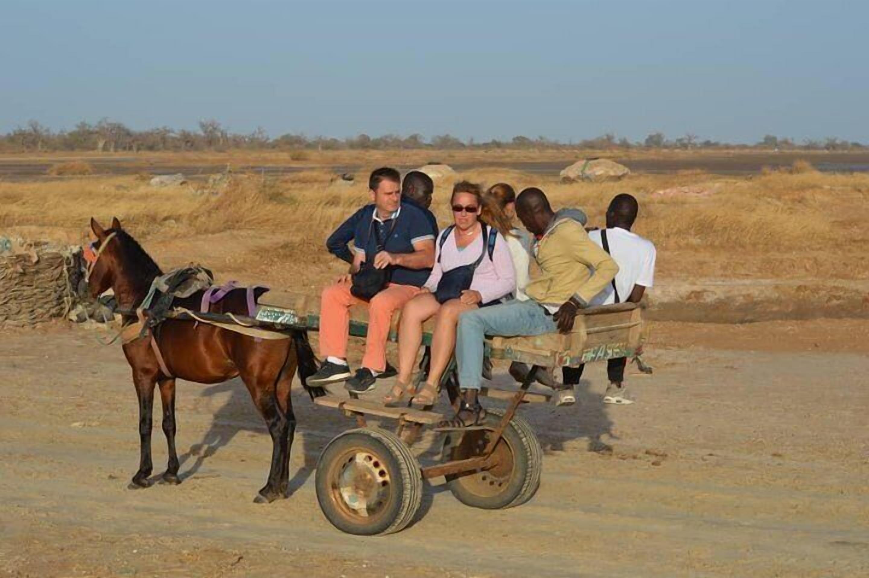 A group of people riding a horse-drawn cart in a dry, open landscape.