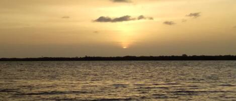 On the beach, white sand, free beach shuttle, 5 beach bars