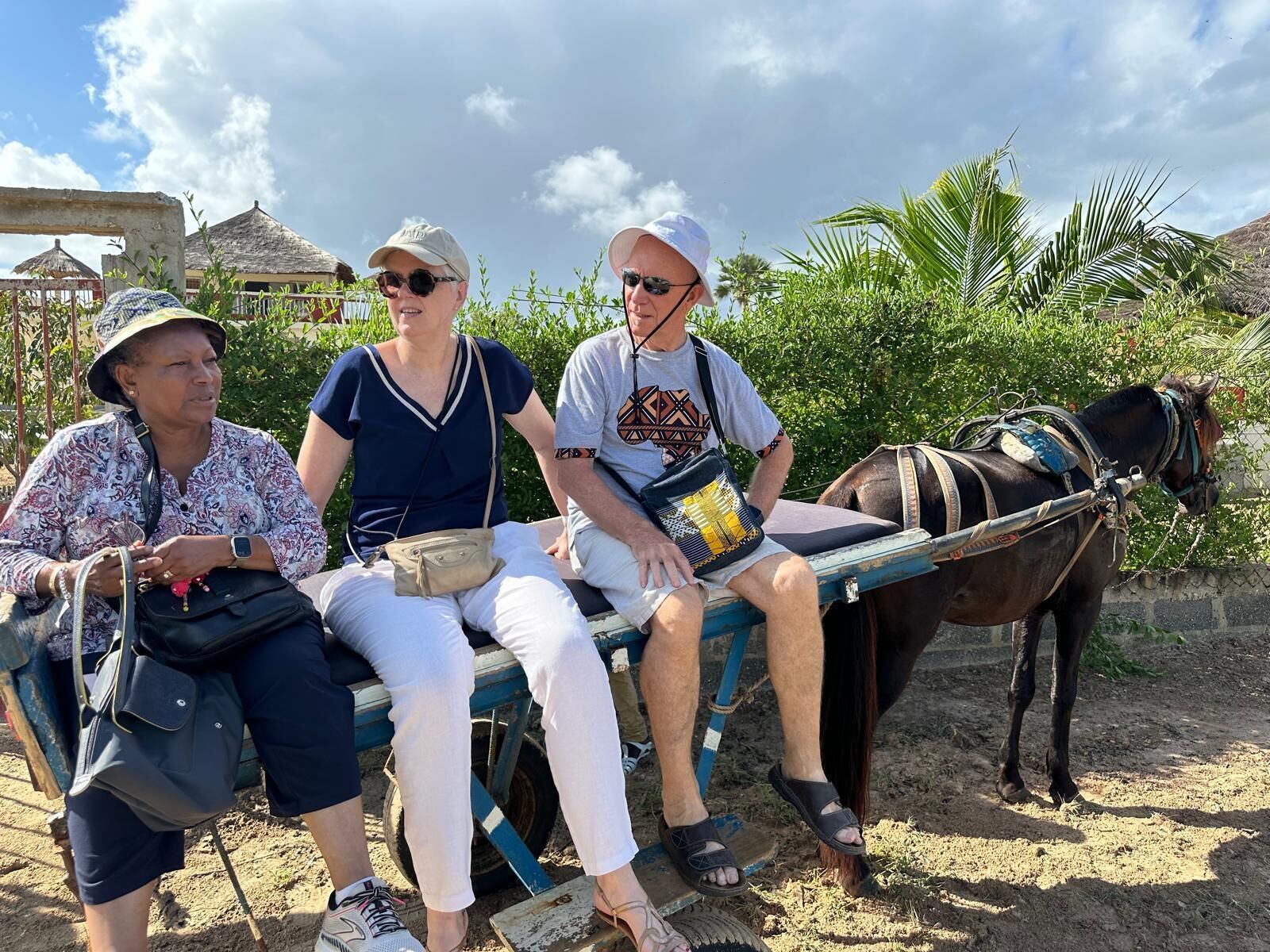 Tres personas sentadas en un carruaje tirado por un caballo, con follaje y edificios al fondo.