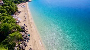 A beach with clear turquoise waters, a sandy shore, and a row of beach umbrellas. - Argostoli Essence Suites (Kefalonia)
