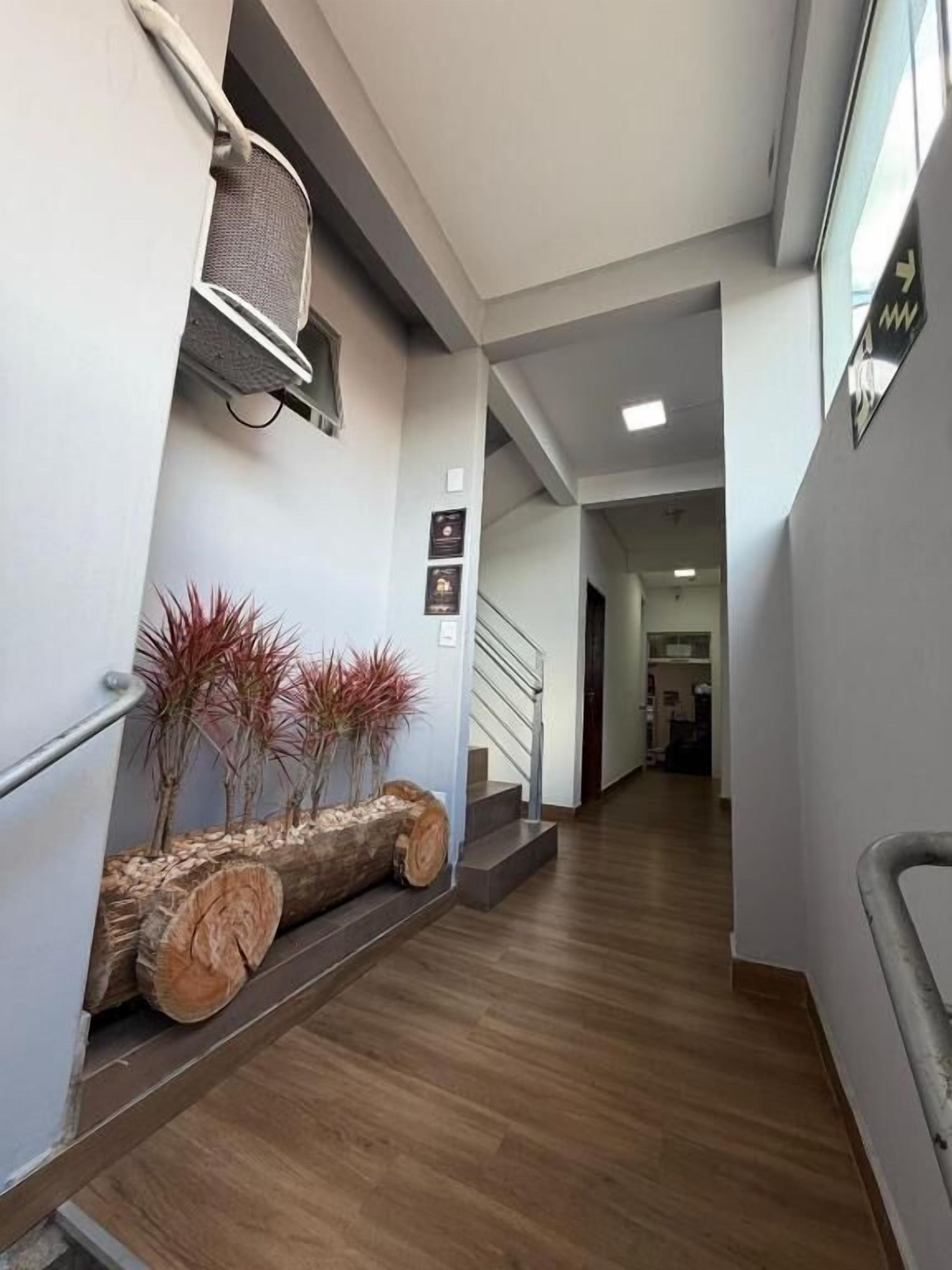 Um corredor com piso de madeira, escada e prateleira na parede com plantas decorativas.