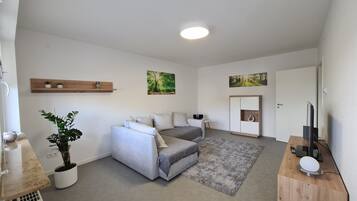 Smart TV, computer monitors