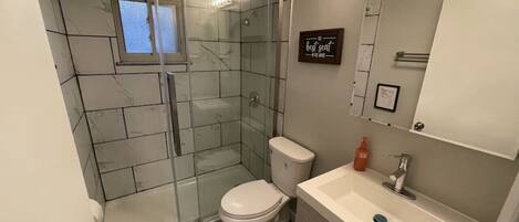 A modern bathroom with a glass shower enclosure, a toilet, a sink, and a mirror.