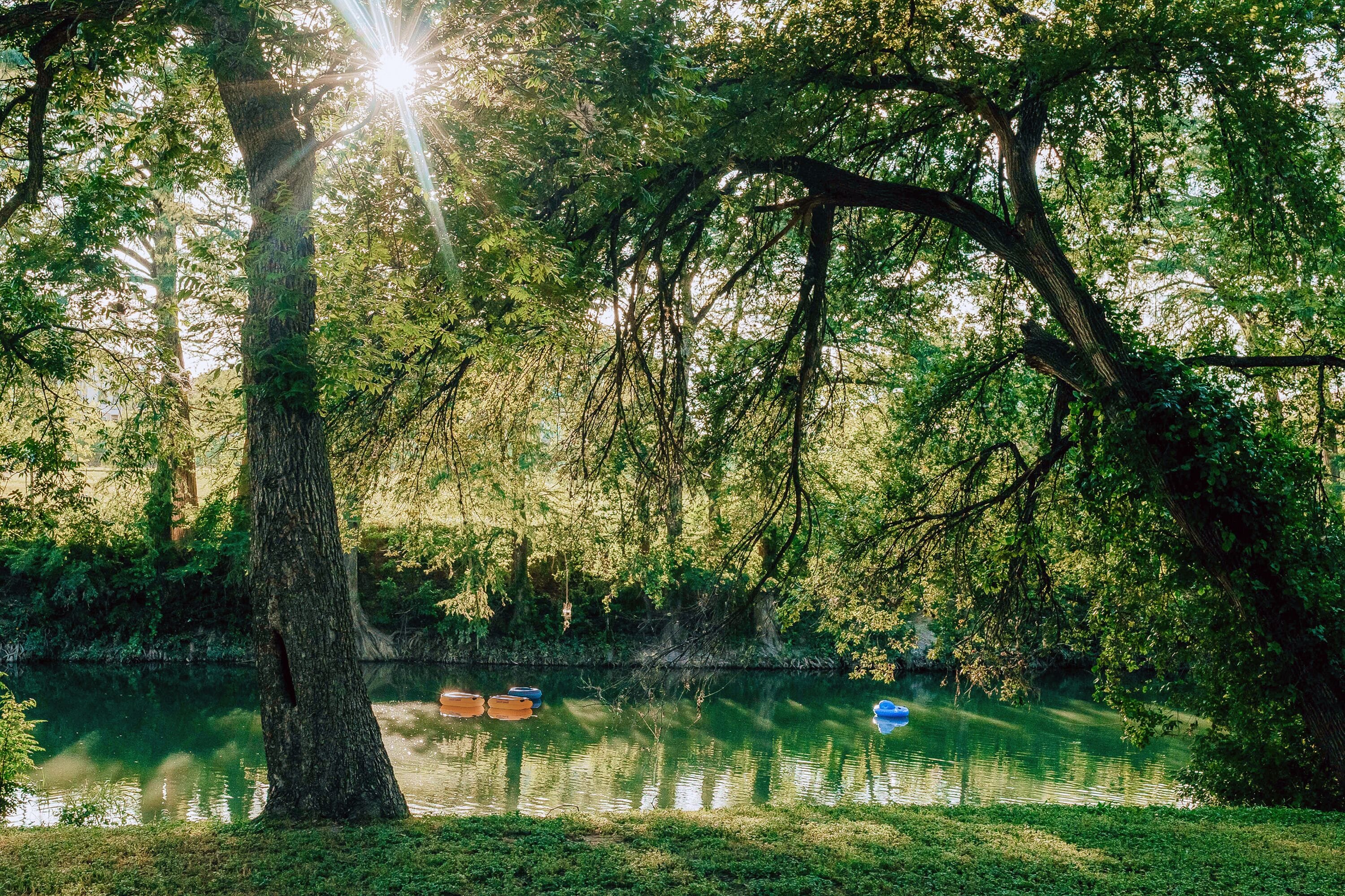 A serene lakeside scene with trees and a calm water surface.