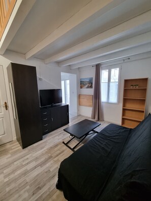 Fernseher