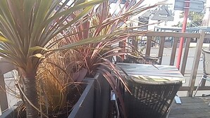 A wooden deck with a metal chair and a planter with a plant. - La renaissance (Condé-en-Normandie)