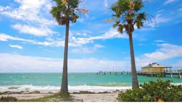 Escena de playa con dos palmeras, un muelle y un edificio amarillo.