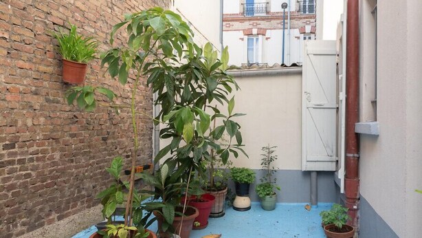 Un espace extérieur étroit, avec un mur en briques et un sol bleu, où se trouvent plusieurs plantes en pot et une porte blanche.