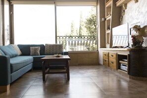 Smart TV, DVD player - Magical All Inclusive Appartmant in Haifa (Haifa)