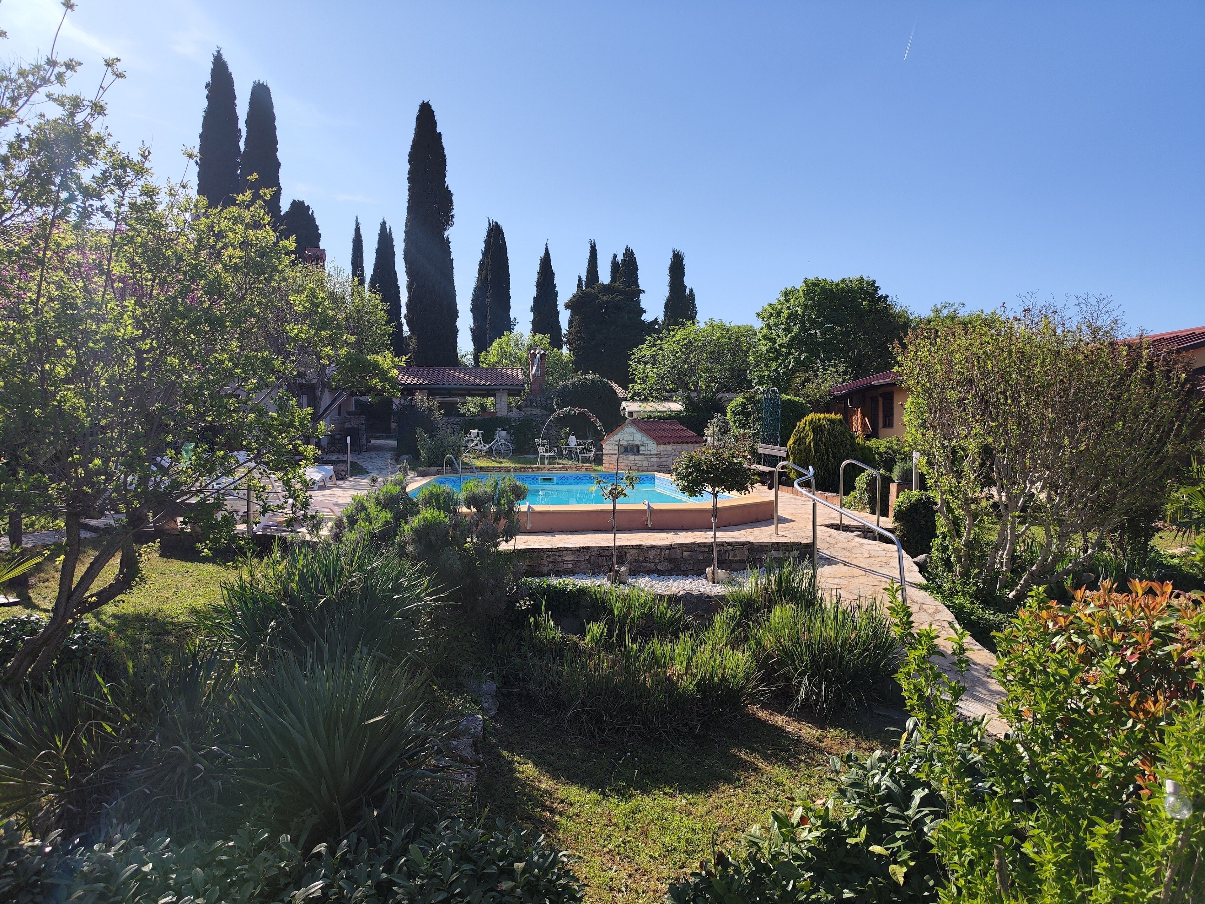 A pool surrounded by lush greenery and tall trees, with a stone pathway leading to a patio area.