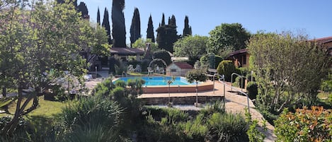 Una piscina rodeada de abundante vegetación y altos árboles, con un camino de piedra que lleva a un patio.