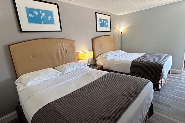 Habitació doble | Escriptori, wifi gratuïta i roba de llit