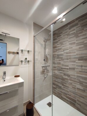 Shower, hair dryer, toilet paper