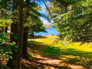 Property grounds - Fish Tail Cabin, lake, sandy beach, kayaks, canoe (Manitowish Waters)