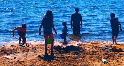 Poky Turtle Cabin, sandy beach, kayaks, canoe