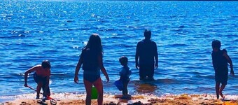 Poky Turtle Cabin, sandy beach, kayaks, canoe