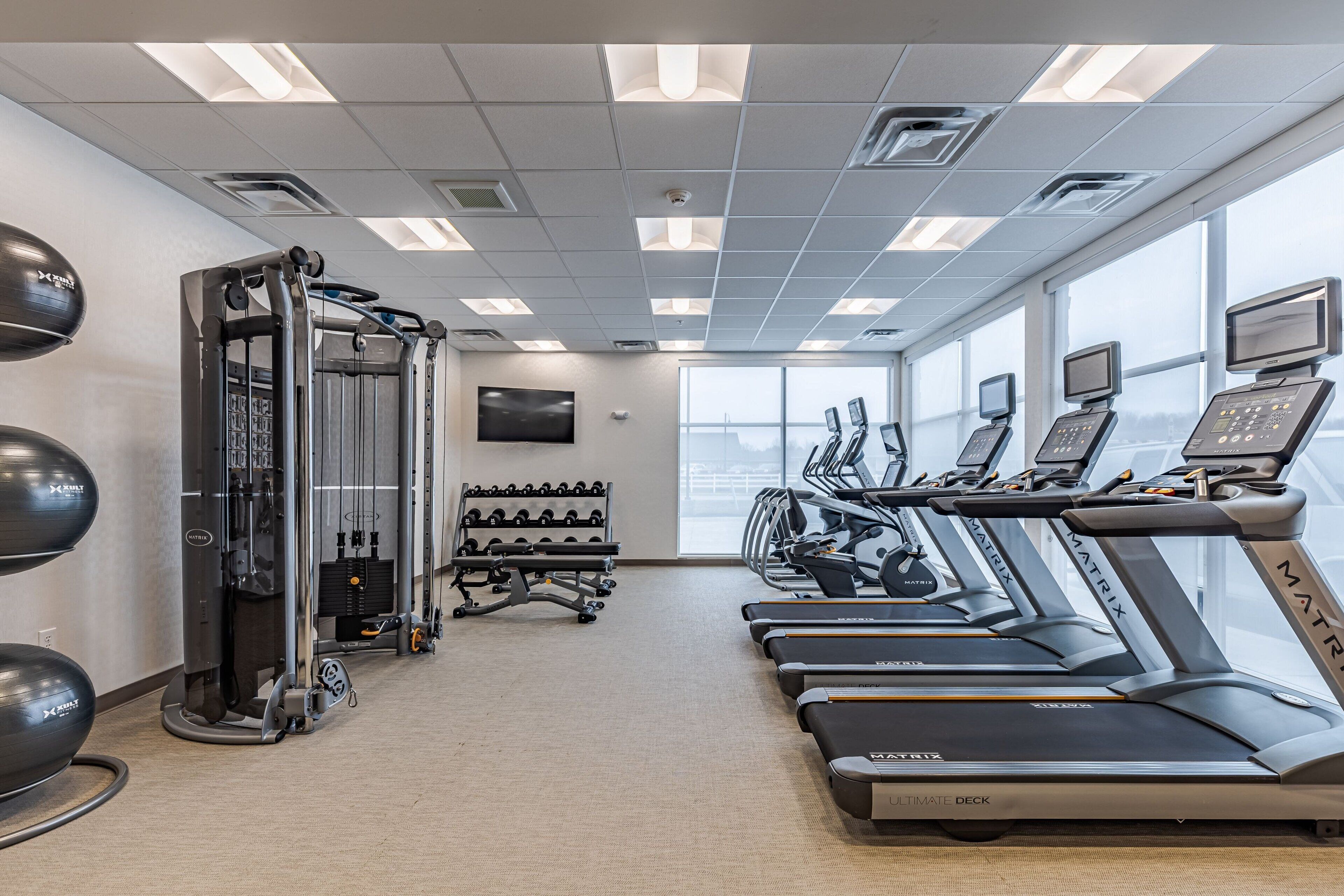 A gym with treadmills, weight machines, and a TV screen.