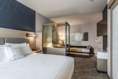 SpringHill Suites by Marriott Detroit Sterling Heights