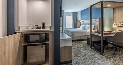 SpringHill Suites by Marriott Detroit Sterling Heights