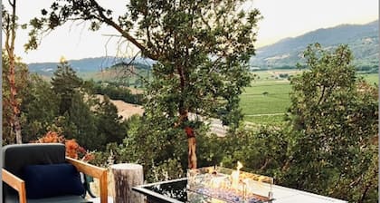 Breathtaking vineyard views on private estate