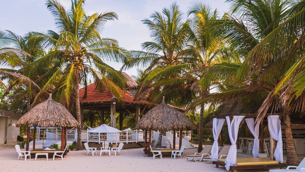 A beach with thatched-roof structures, white lounge chairs, and palm trees. - Marine Beach Club & Hotel By Tequendama (Cartagena)