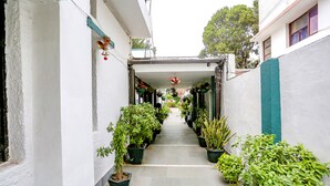 Un couloir étroit, bordé de plantes en pot de chaque côté, qui mène à une entrée abritée.