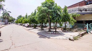 A street lined with parked cars and trees, with a sidewalk and a building in the background.